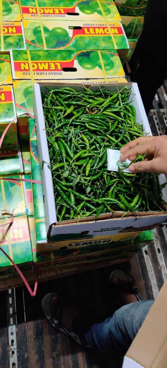 🌍 Indian green chilli exports see rising global demand