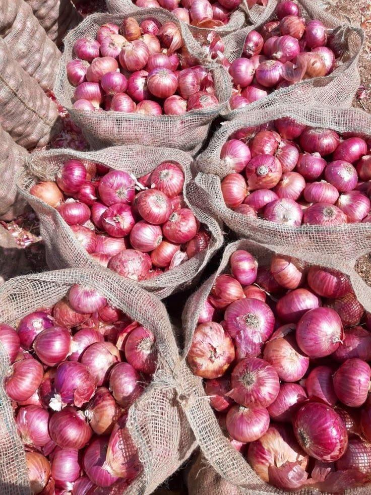 Onions 